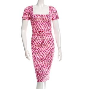 DVF Diane Von Furstenberg Stasie Silk Pink
Printed Dress size 0